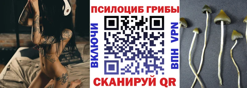 Галлюциногенные грибы MAGIC MUSHROOMS  Белоозёрский 